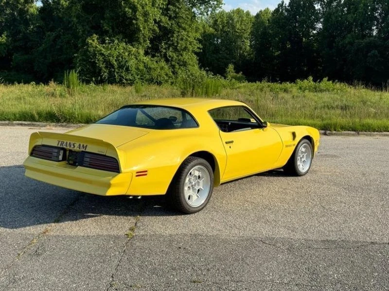 1976 Pontiac Firebird Trans Am 2nd Gen - Image 6 of 17