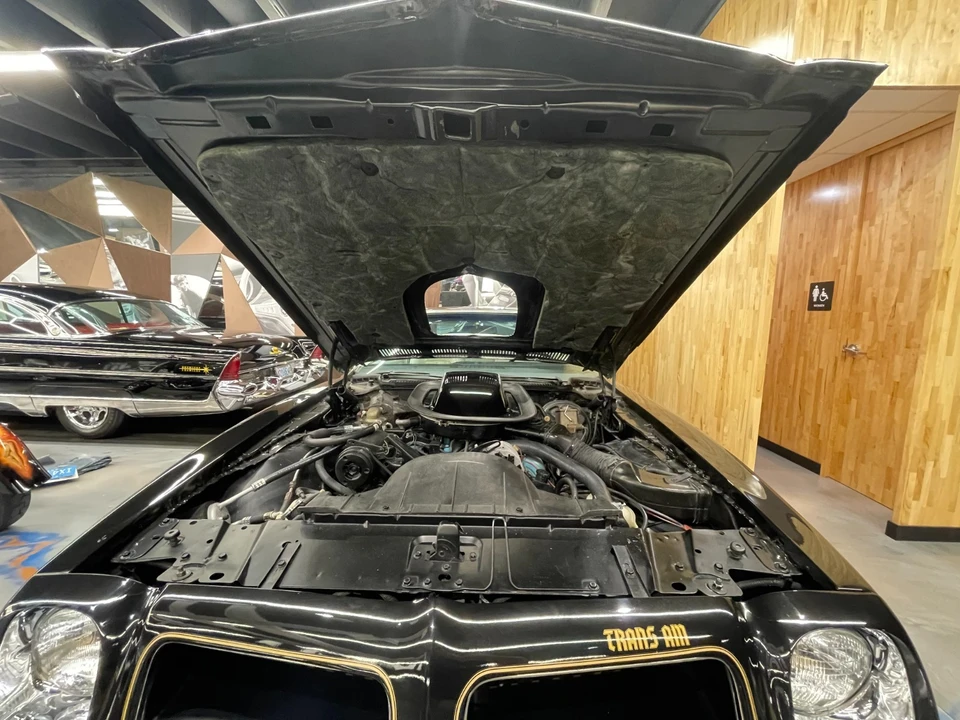 1976 Pontiac Firebird Trans Am 2nd Gen - Image 30 of 31