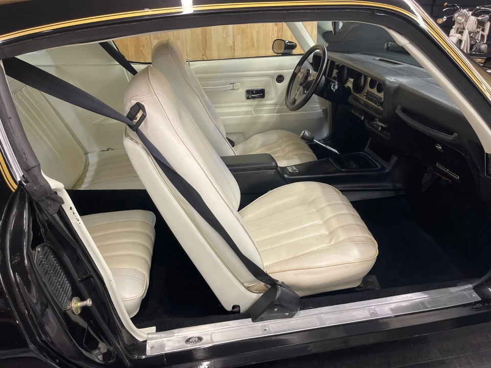 1976 Pontiac Firebird Trans Am 2nd Gen - Image 19 of 31