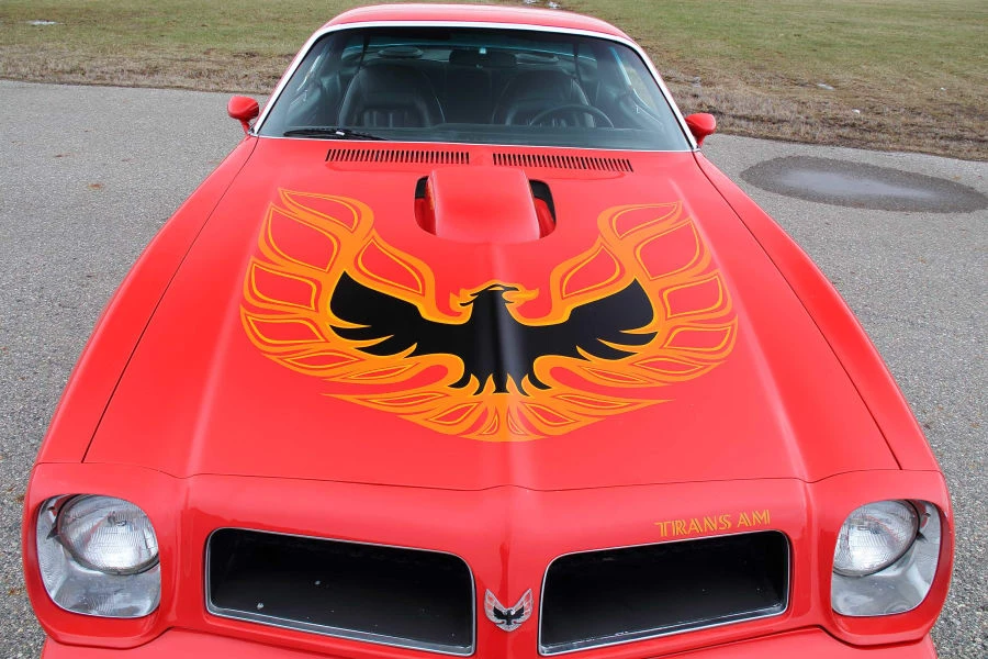 1976 Pontiac Firebird Trans Am 2nd Gen - Image 8 of 26