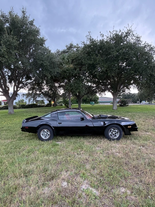1976 Pontiac Firebird Trans Am 2nd Gen - Image 10 of 22