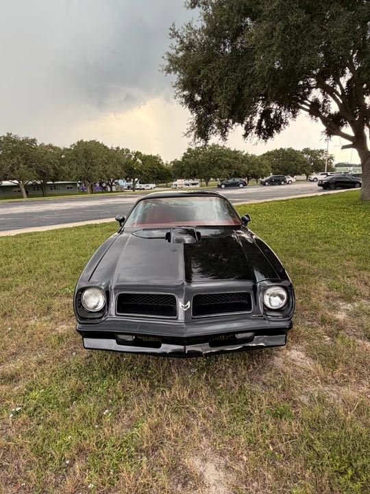 1976 Pontiac Firebird Trans Am 2nd Gen - Image 7 of 22