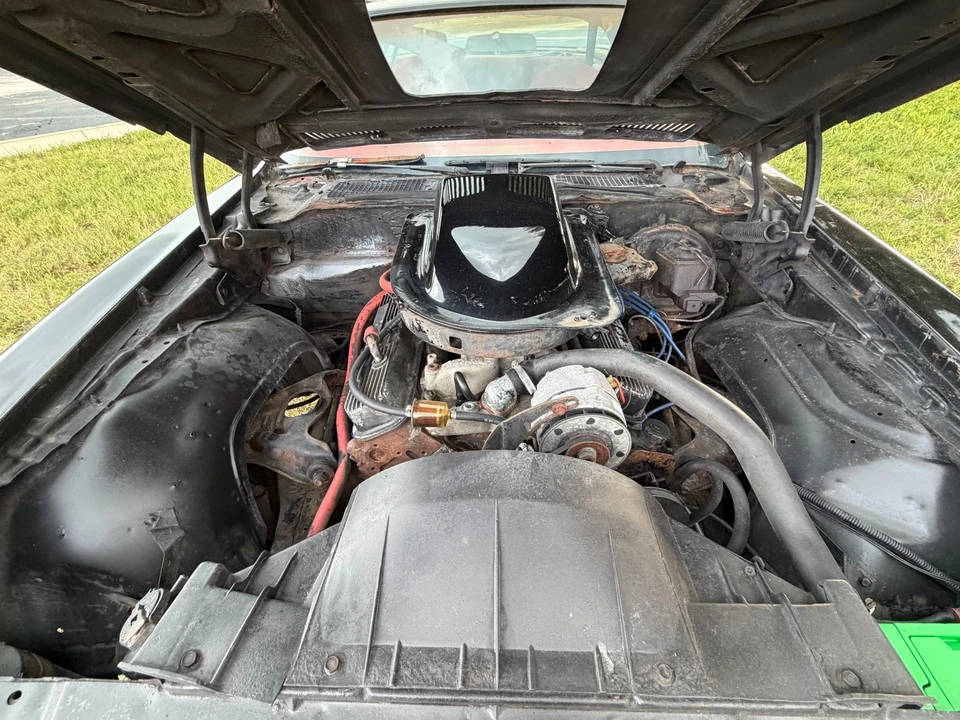 1976 Pontiac Firebird Trans Am 2nd Gen - Image 11 of 22