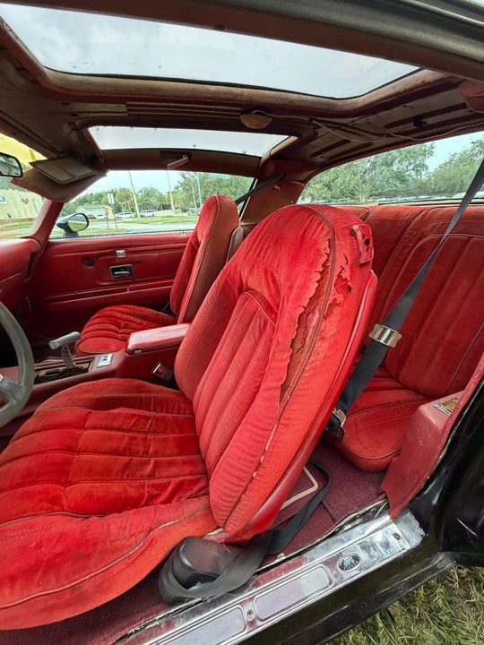 1976 Pontiac Firebird Trans Am 2nd Gen - Image 14 of 22