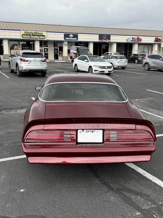 1976 Pontiac Firebird Trans Am 2nd Gen - Image 30 of 31
