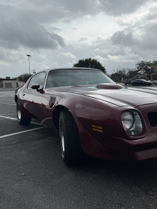 1976 Pontiac Firebird Trans Am 2nd Gen - Image 2 of 31