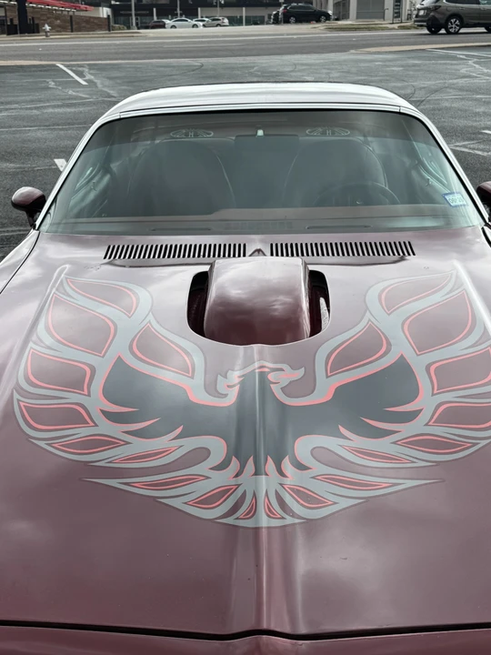 1976 Pontiac Firebird Trans Am 2nd Gen - Image 8 of 31