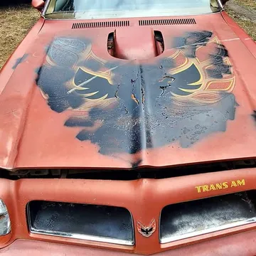 1976 Pontiac Trans Am Firebird