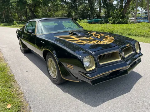 1976 Pontiac Firebird Trans Am SE 455 4 Speed