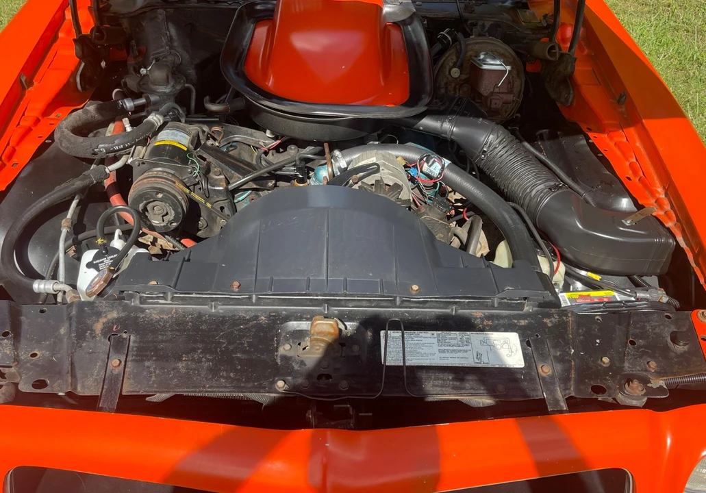 1976 Pontiac Firebird Trans Am 2nd Gen - Image 9 of 21