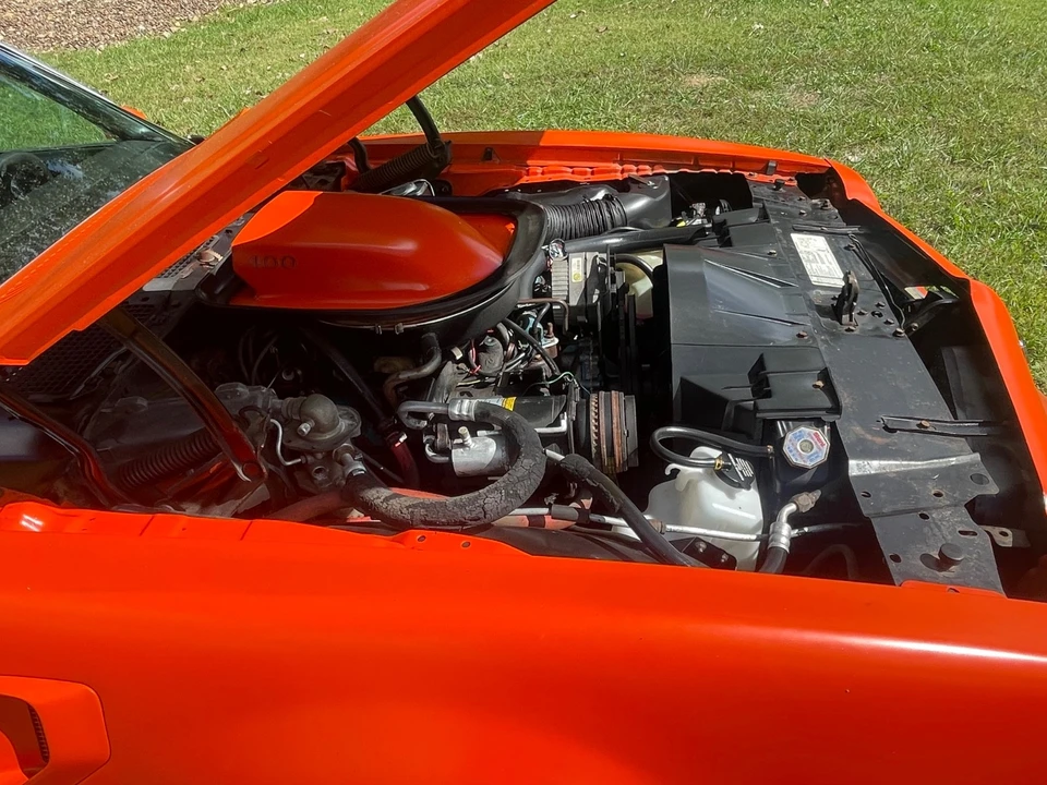 1976 Pontiac Firebird Trans Am 2nd Gen - Image 8 of 21
