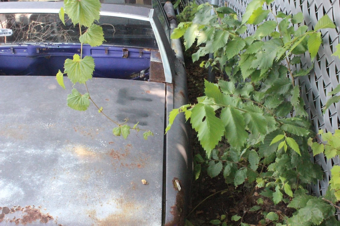 1976 Porsche 914/4 - Image 4 of 21