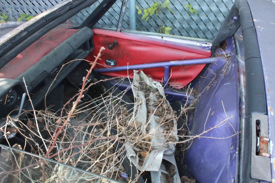 1976 Porsche 914/4 - Image 12 of 21