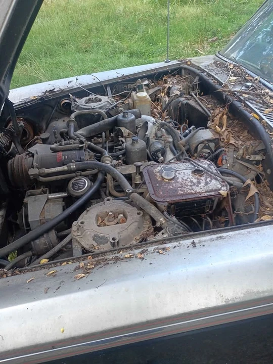1976 Rolls-Royce Silver Spur & Spirit - Image 2 of 8
