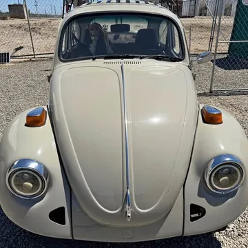 1976 Volkswagen Beetle Coupe