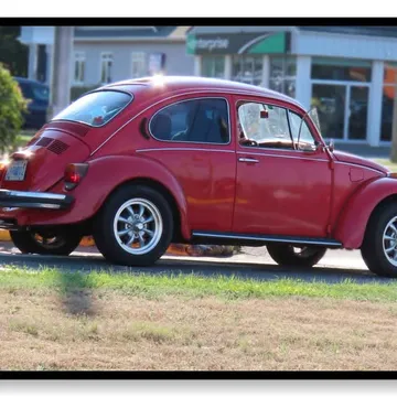 1976 Volkswagen Beetle