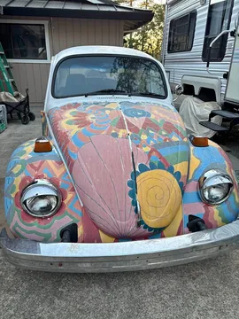 1976 Volkswagen Beetle