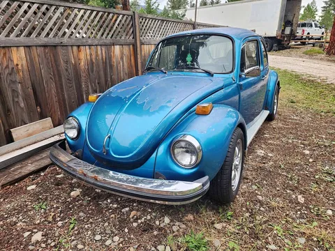 1976 Volkswagen Beetle