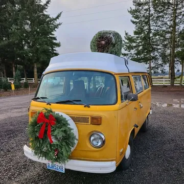 1976 Volkswagen Bus Riviera