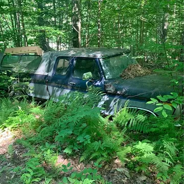 1976 Ford F-150