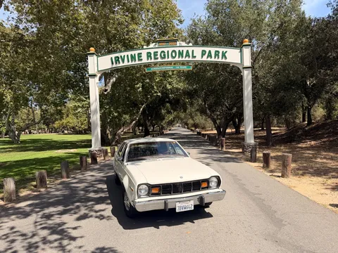 1977 AMC Hornet D/L