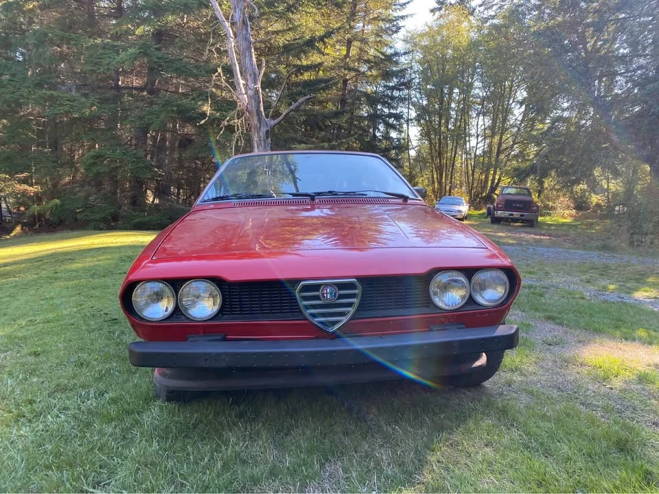 1977 Alfa Romeo Alfetta - Image 8 of 9