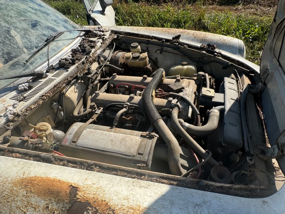 1977 Alfa Romeo Series 2 - Image 11 of 14