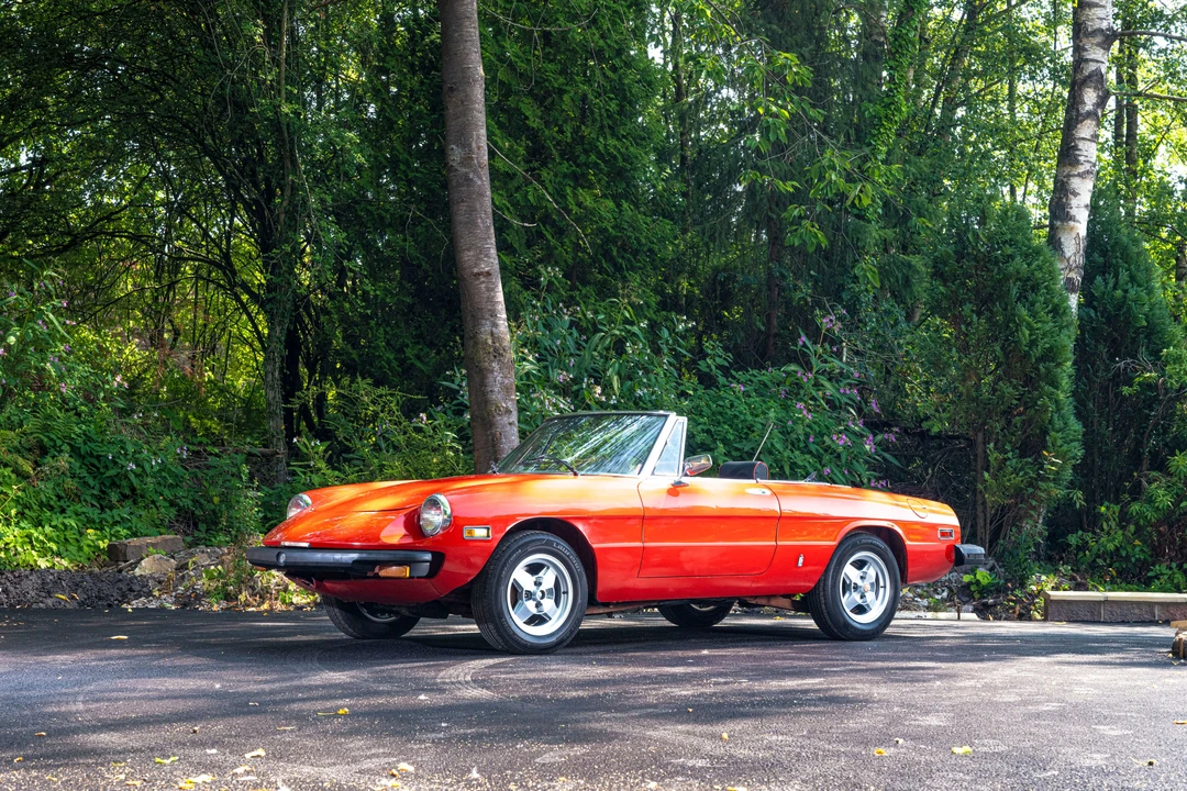 1977 Alfa Romeo Series 2 - Image 14 of 31