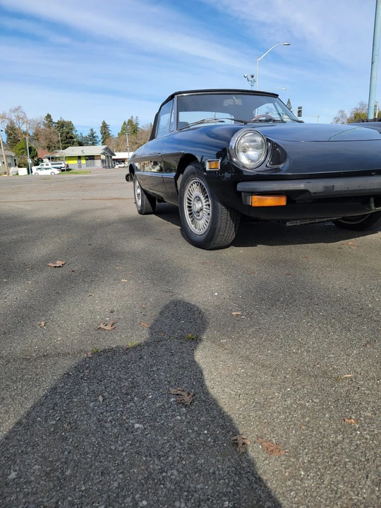 1977 Alfa Romeo Series 2 - Image 13 of 31