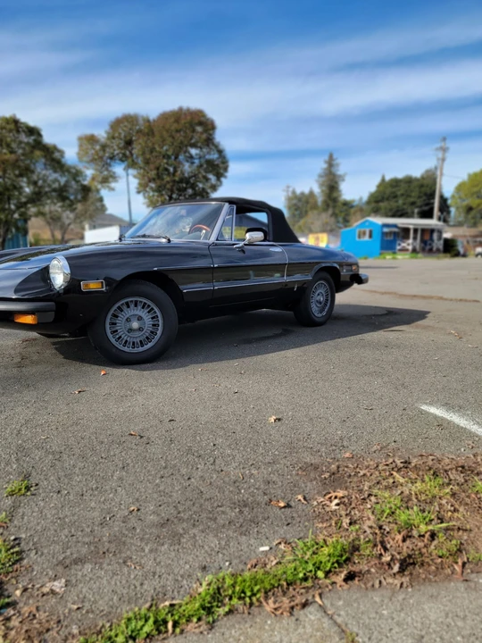 1977 Alfa Romeo Series 2 - Image 12 of 31