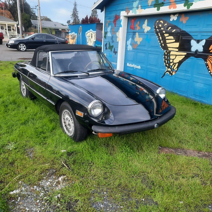 1977 Alfa Romeo Series 2 - Image 9 of 31