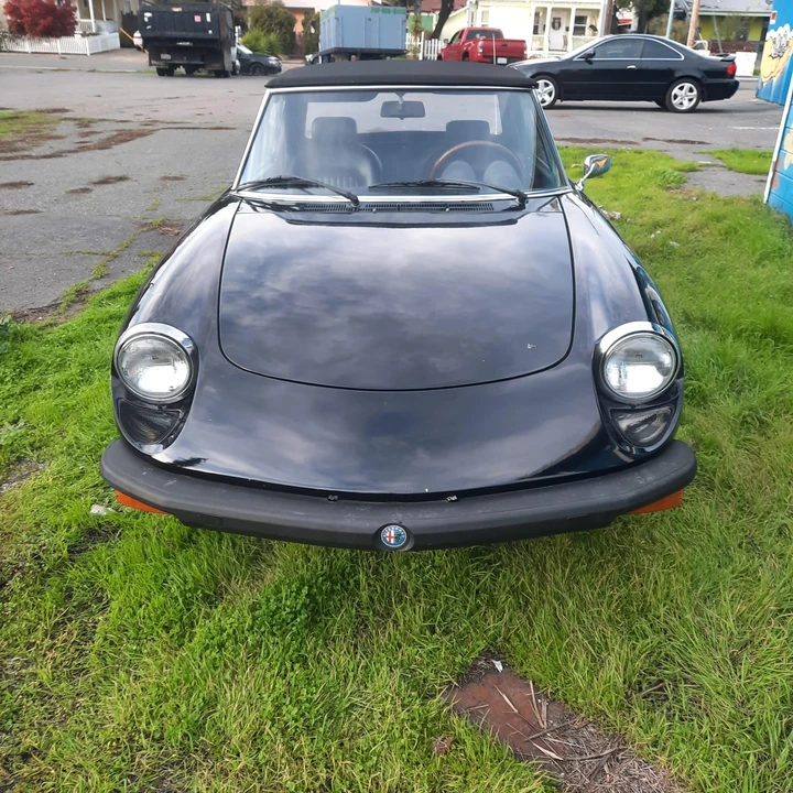 1977 Alfa Romeo Series 2 - Image 10 of 31
