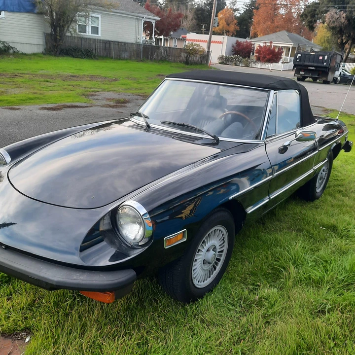 1977 Alfa Romeo Series 2 - Image 11 of 31