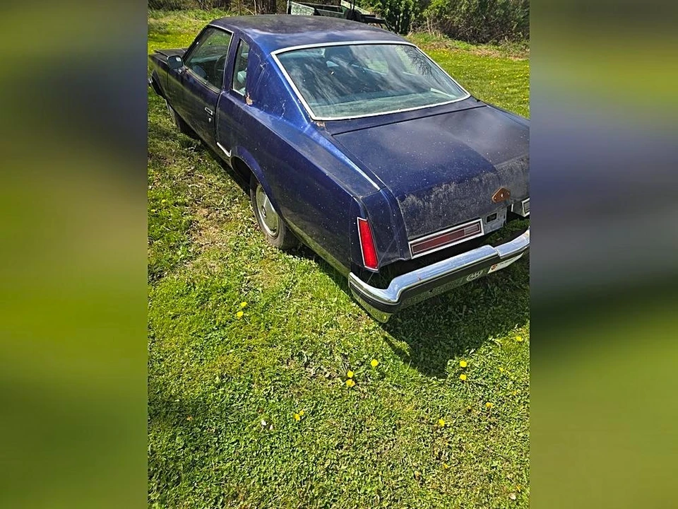 1977 Buick Century - Image 3 of 11