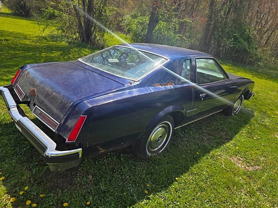 1977 Buick Century - Image 4 of 11