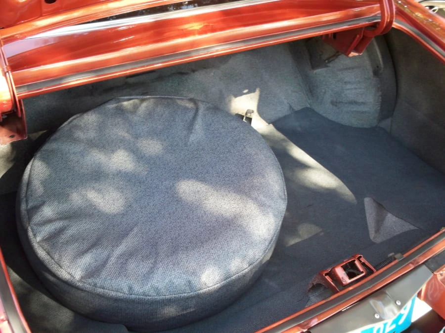 1977 Buick Century - Image 10 of 11