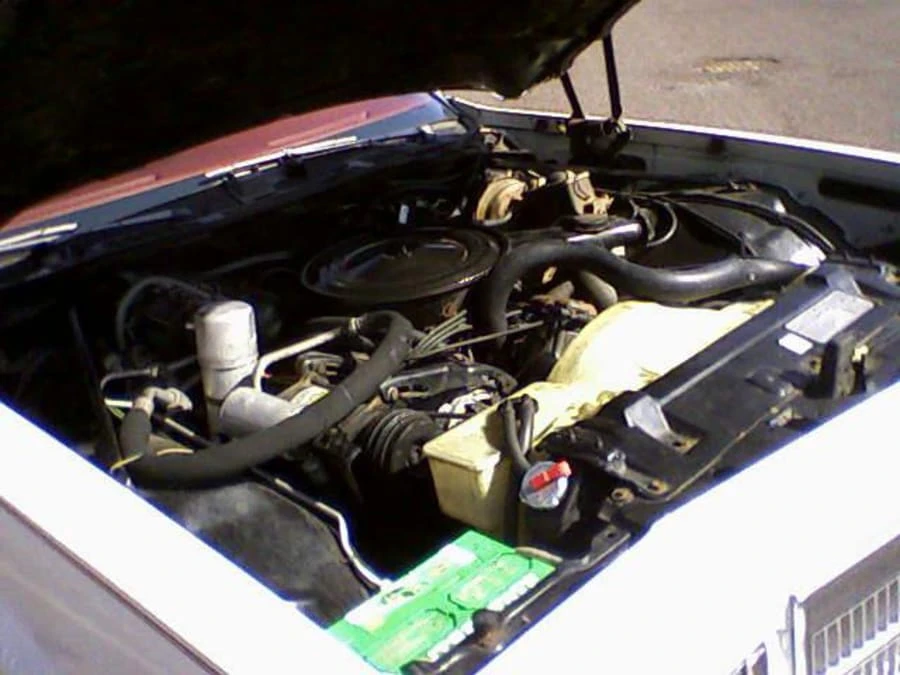 1977 Buick Regal - Image 6 of 9