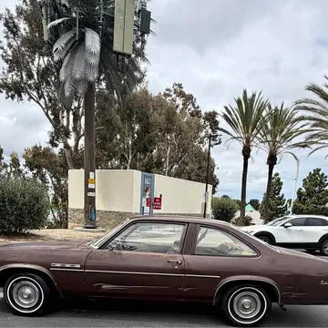 1977 Buick Skylark Coupe 2D