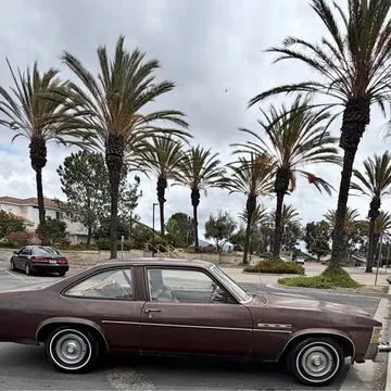 1977 Buick Skylark Coupe