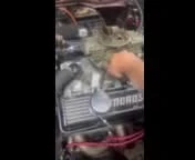 1977 Chevrolet Nova 4th Gen - Image 11 of 11