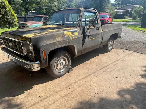 1977 Chevrolet 1500 Regular Cab C10