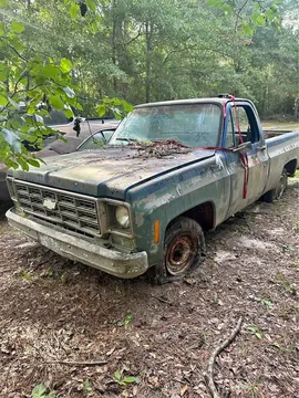 1977 Chevrolet 1500 Regular Cab C10