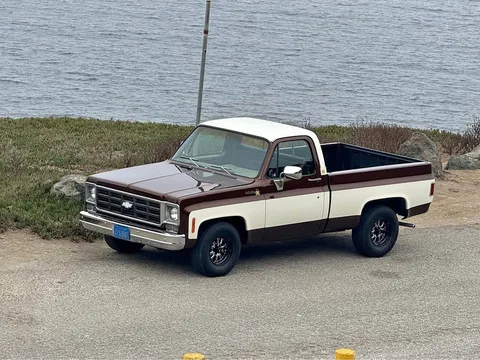 1977 Chevrolet C10 Scottsdale