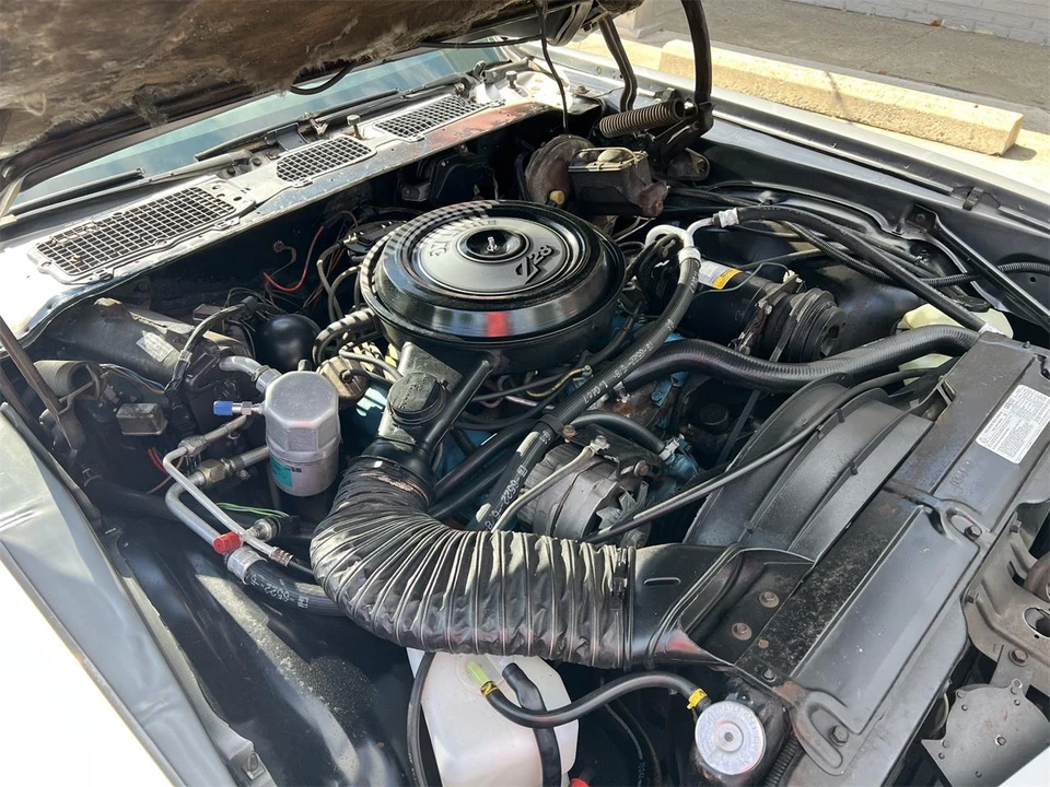 1977 Chevrolet Camaro Z/28 2nd Gen - Image 6 of 30