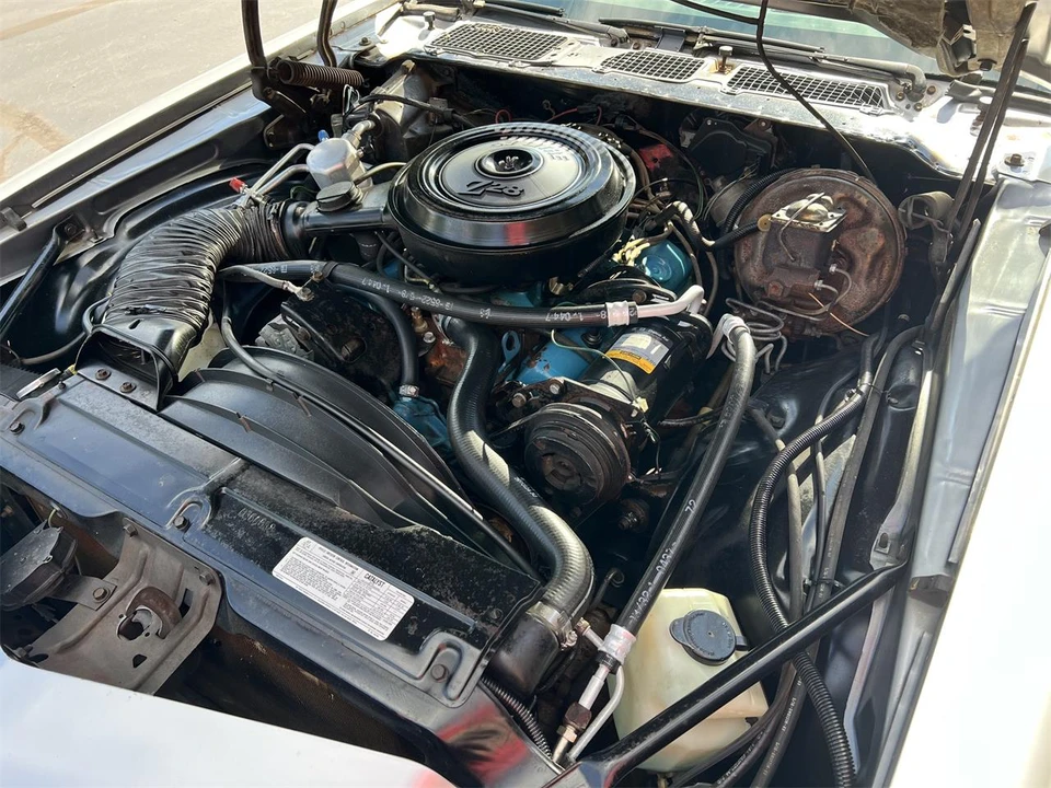 1977 Chevrolet Camaro Z/28 2nd Gen - Image 8 of 30