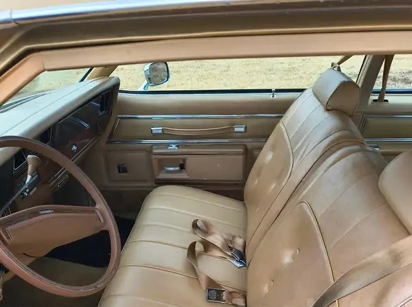 1977 Chevrolet Caprice - Image 21 of 21