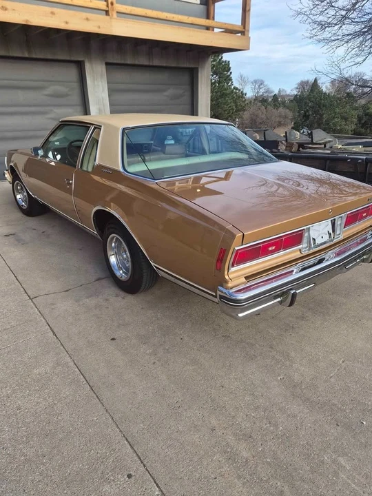 1977 Chevrolet Caprice - Image 8 of 21