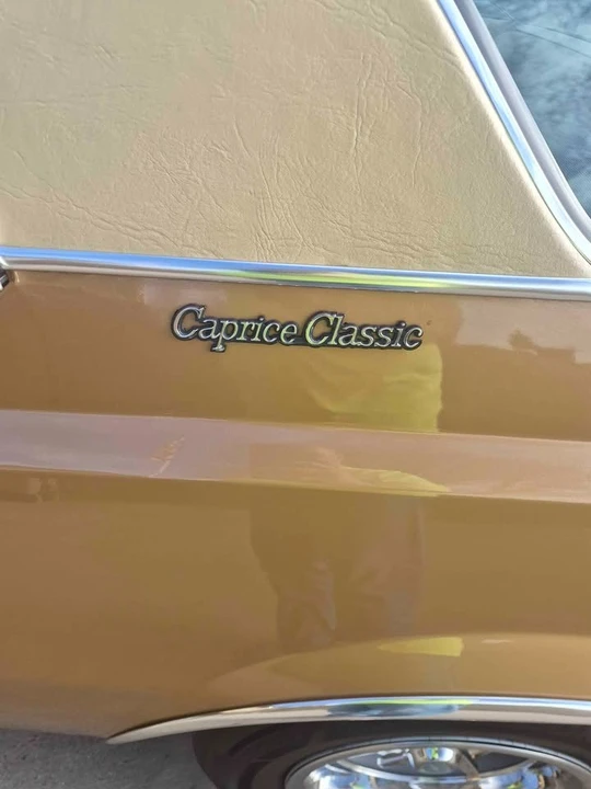 1977 Chevrolet Caprice - Image 15 of 21