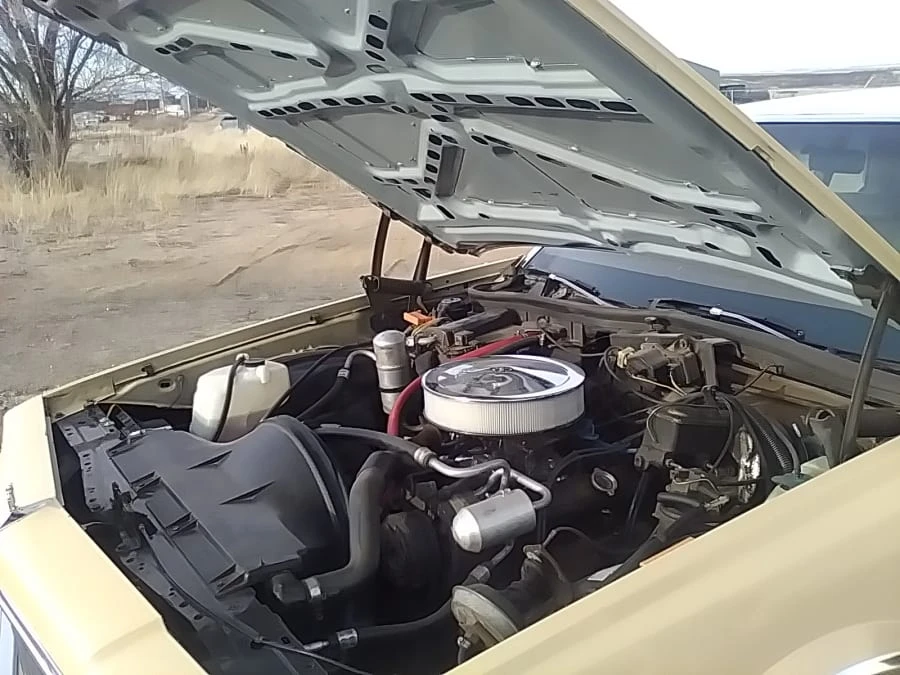 1977 Chevrolet Caprice - Image 8 of 9