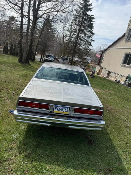 1977 Chevrolet Caprice - Image 6 of 16